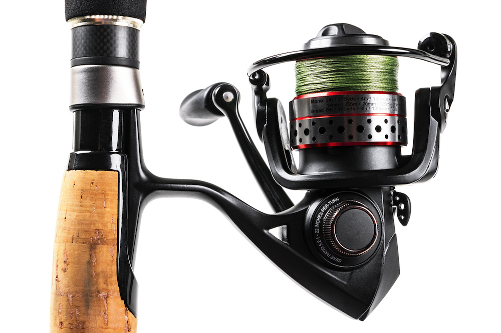 Daiwa Bg Spinning Reel Review Surf Fishing California