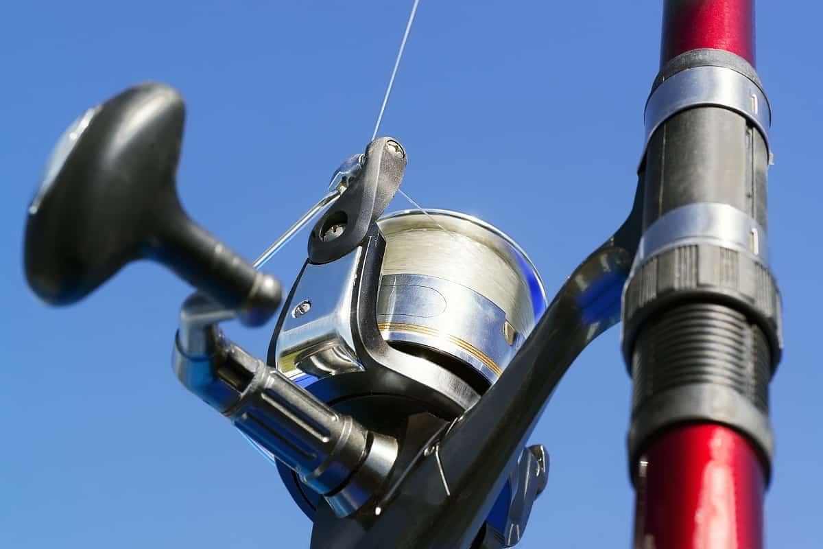 Best Surf Fishing Reels - surffishingcalifornia.com