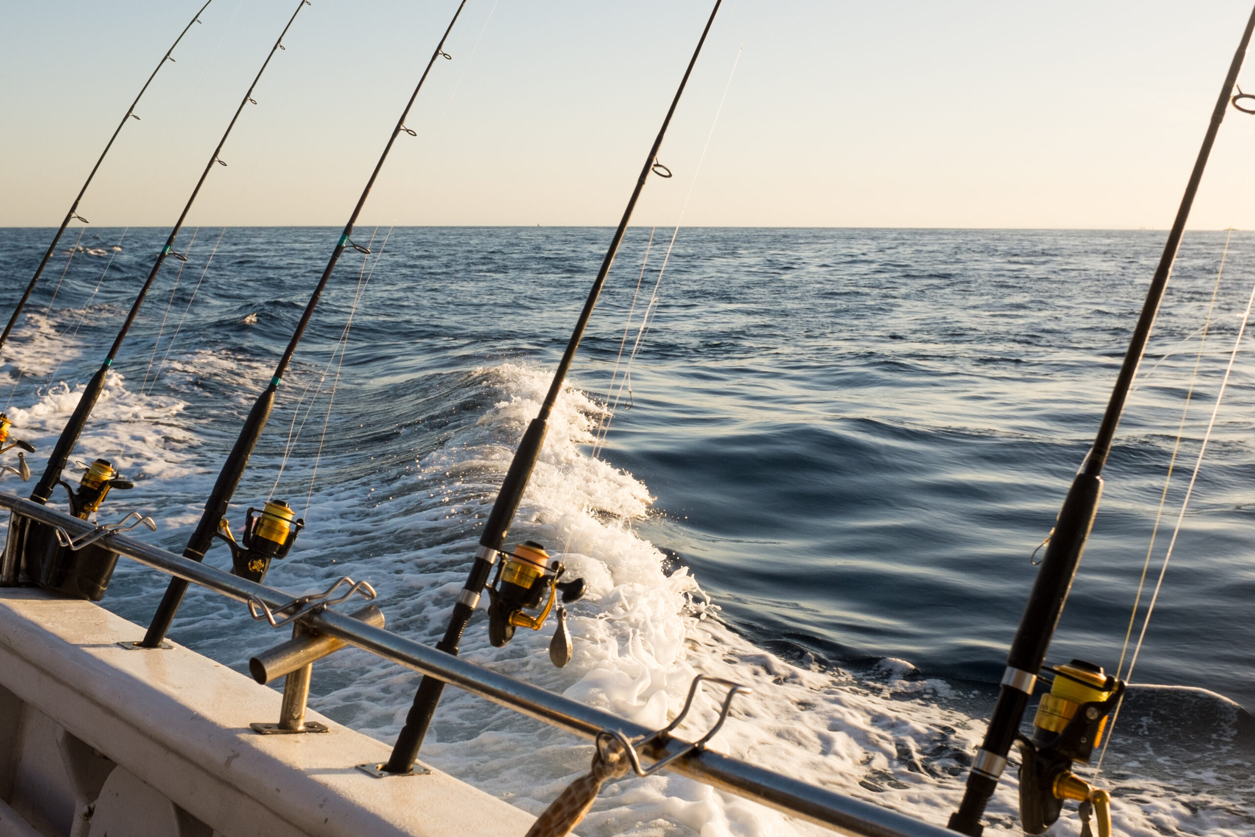 Best Rigs for Surf Fishing (To Use For Live Bait) - surffishingcalifornia.com