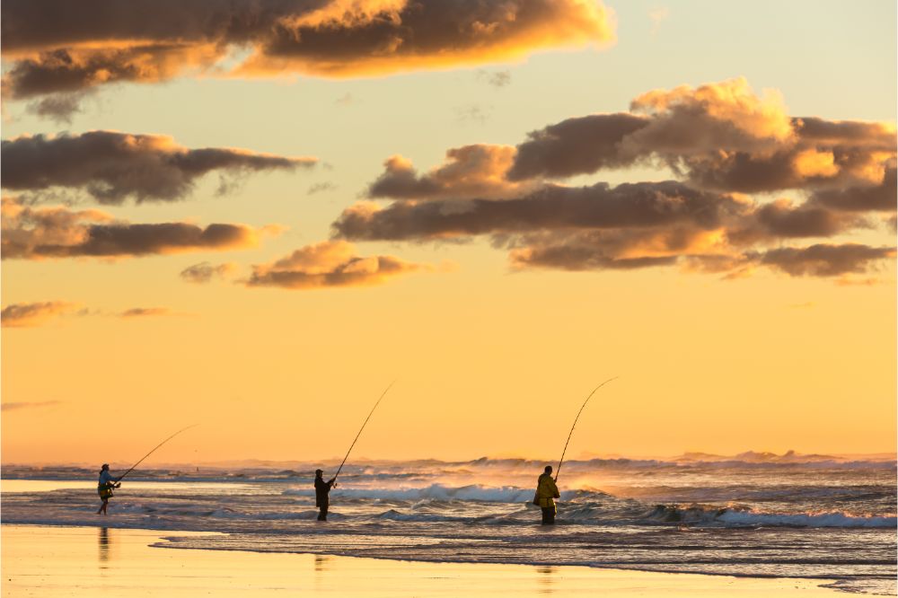 Top Five Locations To Surf Fish In Northern California - Surf Fishing