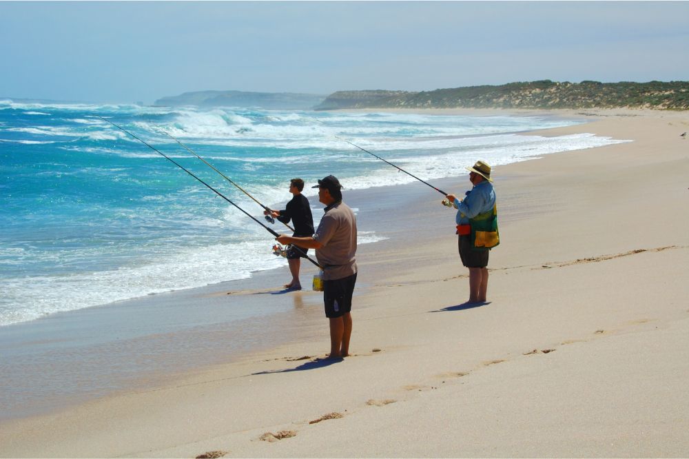 The Five Most Common Species of Fish Caught From California Beaches Men surf fishing on the beach
