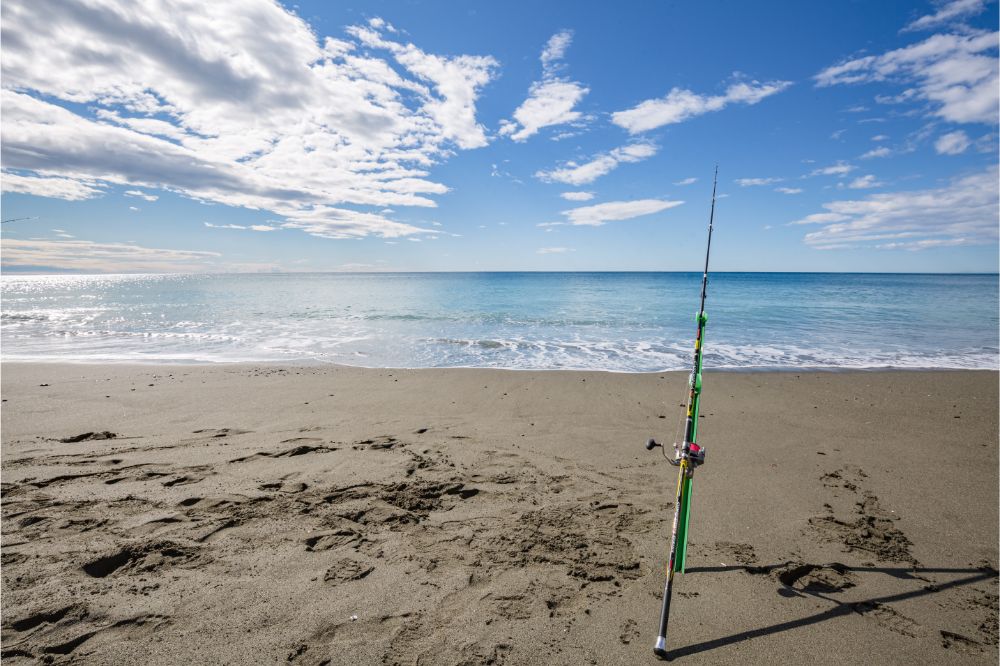 Fishing rod in rod holder in wet sand