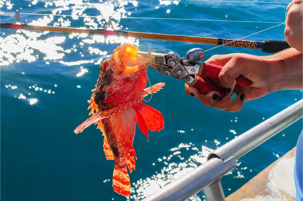 Fisherman with pliera holding a fish