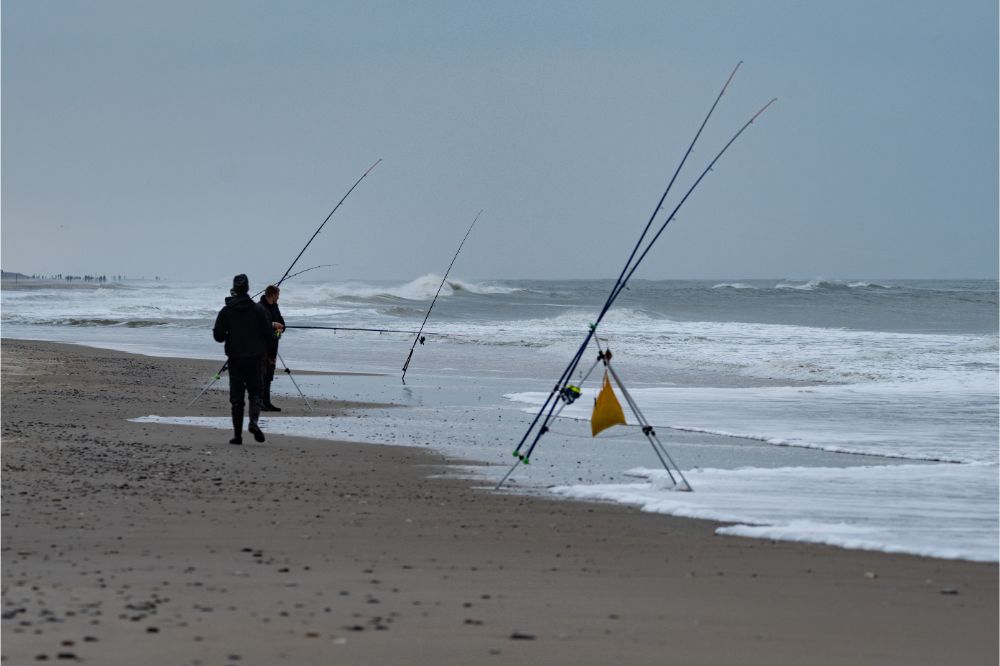 How to Shore Fish in California