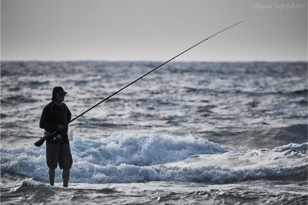 fishing on the beach